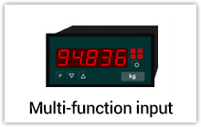 Multi-function input